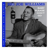 bog joe williams - Mama Don't Allow Me to Fool Around All Night Long