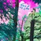 Drug Rug - Griffith Conrecode lyrics