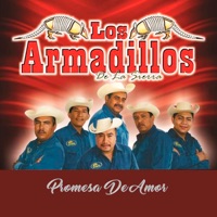 Promesa de Amor - Single - Los Armadillos de la Sierra