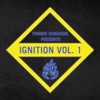 Tommie Sunshine Presents: Ignition, Vol. 1, 2021
