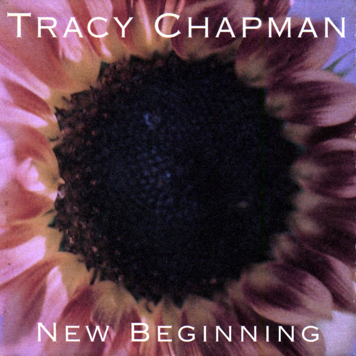 New Beginning - Album by Tracy Chapman - Apple Music
