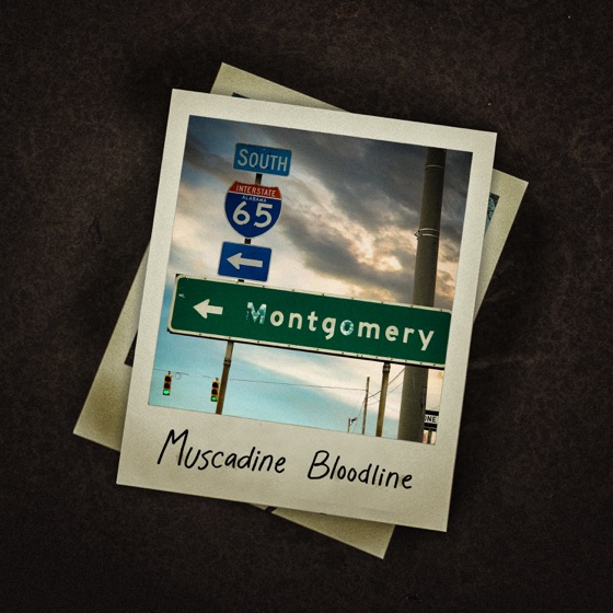Cover artwork for Montgomery