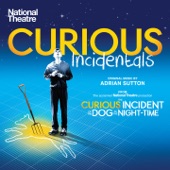 Curious Incidentals (From the National Theatre production 'The Curious Incident of the Dog in the Night-Time') artwork