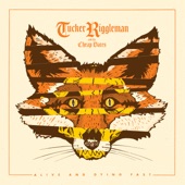Tucker Riggleman & the Cheap Dates - Storming in Memphis