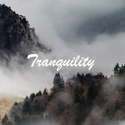 Tranquility (feat. Munboi) - Single