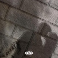 Shining for You (feat. Breana Marin) - Single - WaYBaO