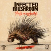 Infected Mushroom - Nerds on Mushrooms