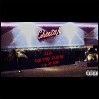 On the Flow - Single - J.I.A