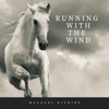 Running with the Wind - Single