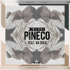 Pineco (feat. Natoxie) - X-Man
