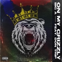 On My Grizzly (feat. Don Trip) - Single - Big A