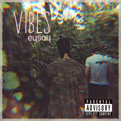Vibes - Single