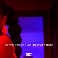Dim My Light (Remix) [feat. Jason Chu & Will Aston] - Single - Brooklyn Shanti & Big Ting