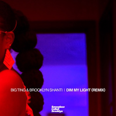 Dim My Light (Remix) [feat. Jason Chu & Will Aston] - Single