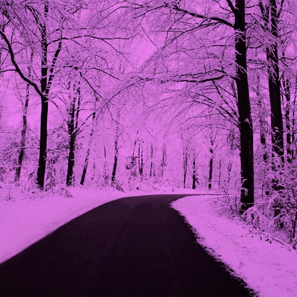 Purple Seazn (Instrumental) - Single