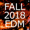 Fall 2018 EDM