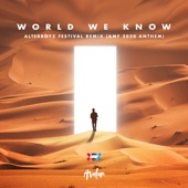 World We Know (Amf 2020 Anthem) [Alterboyz Festival Remix] artwork
