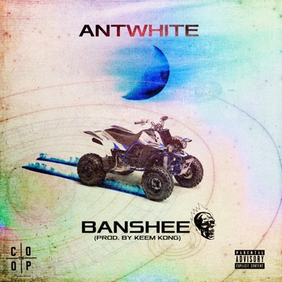 Banshee - Single