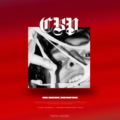 Cheese - Single