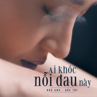 Ai Khóc Nỗi Đau Này - Single - Bảo Anh & Đức Trí