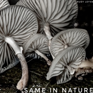 Same In Nature - Single