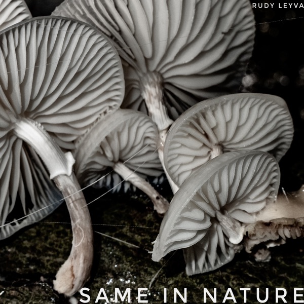 Same In Nature - Single
