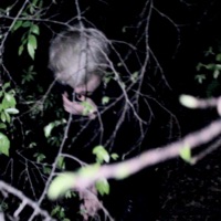 Eyesore - Single - XANDER CROWLEY