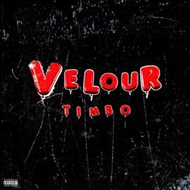 Velour (feat. TaavTheHuman, RG45 & Bfokxy) Timbokwe