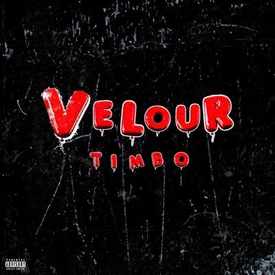 Velour (feat. TaavTheHuman, RG45 & Bfokxy) - Single