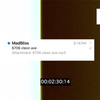 6706 Cleon Ave - Single - MadBliss