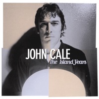 Mr Wilson John Cale ジョン ケイル のカバー曲は