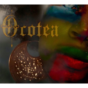 Ocotea