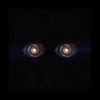 Day Brake - Spirals