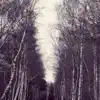 hakobune - White Night