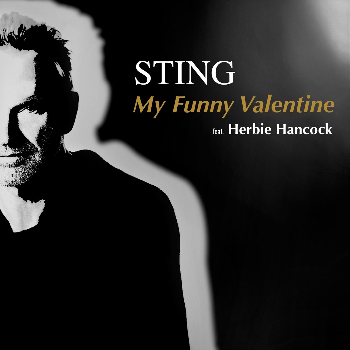 â žmy Funny Valentine Feat Herbie Hancock Single Album By Sting â žmy Funny Valentine Feat Herbie Hancock Single Album By Sting