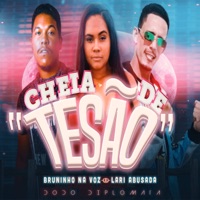 Cheia de Tesão (feat. Lari Abusada & Dodô Diplomata) - Single - Bruninho na voz