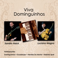 Viva Dominguinhos (Instrumental) - Sandro Haick & Luciano Magno