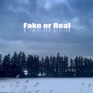 Fake or Real - EP