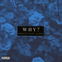 Why (feat. Lands) - Single - Medusa