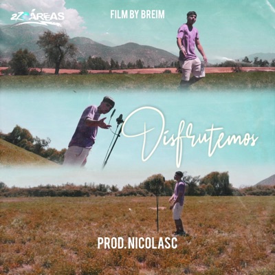 Disfrutemos - Single