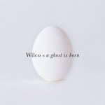 Wilco - Hell is Chrome