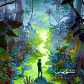 Amazonia (il:lo Remix) artwork