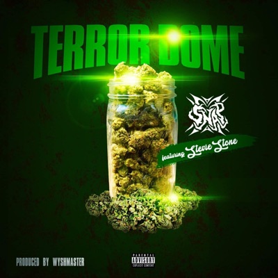Terror Dome (feat. Stevie Stone) - Single