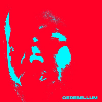 Cerebellum - Single