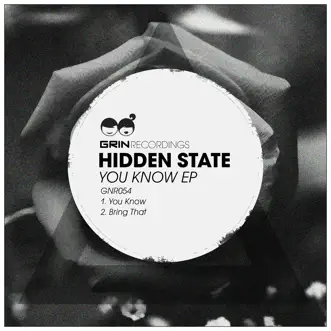 You Know by Hidden State song reviws