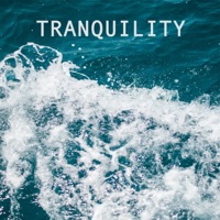 Tranquility (feat. Harris) - Single - George Lavender