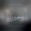 The Grey - Single