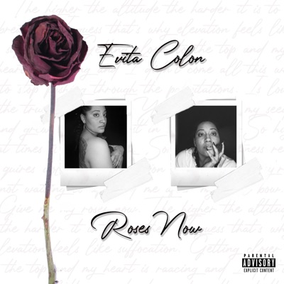 Roses Now