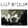 Lost Wisdom (feat. Julie Doiron & Fred Squire)