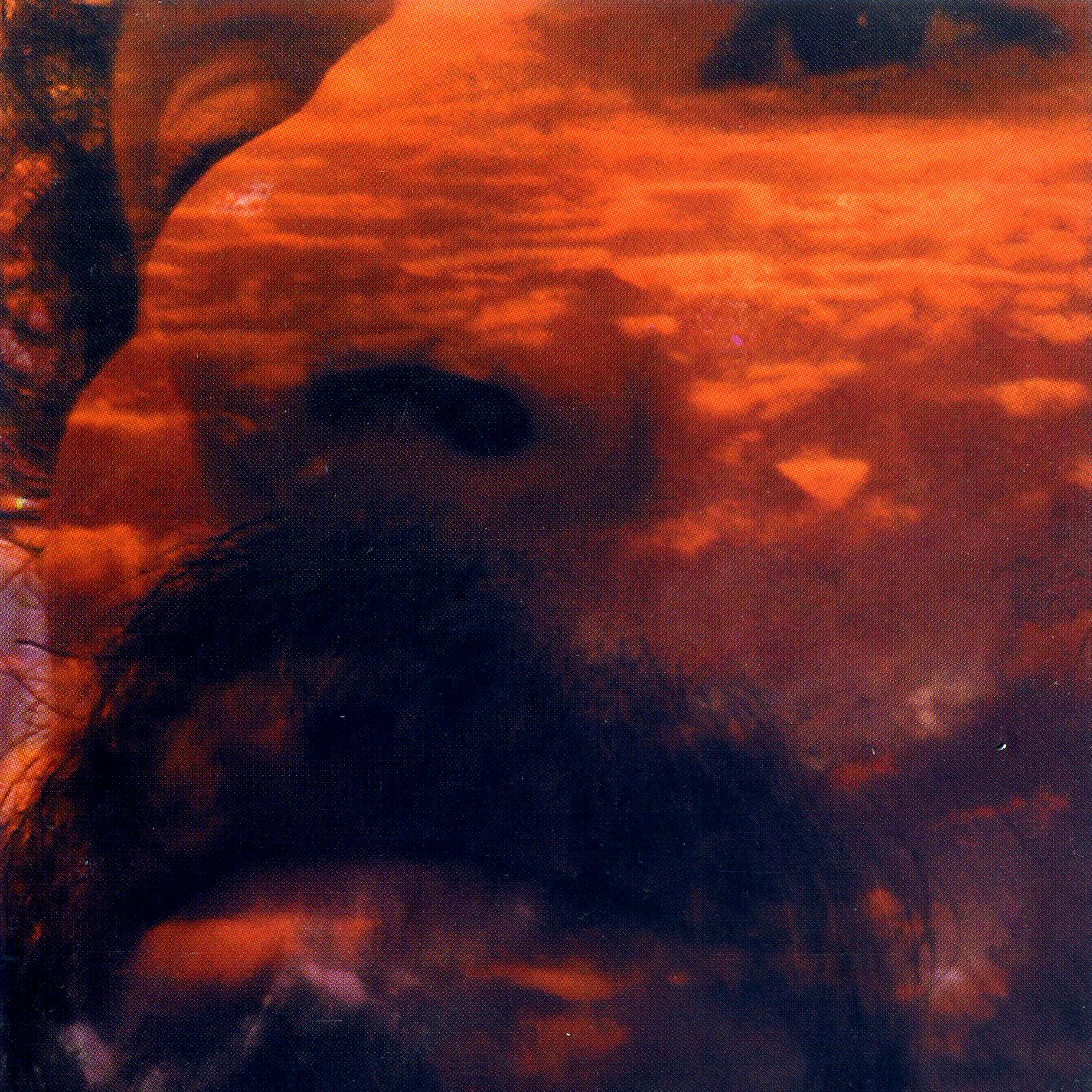 Un Hombre Solo No Puede Hacer Nada